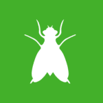white vector image of a gnat on front of green background.